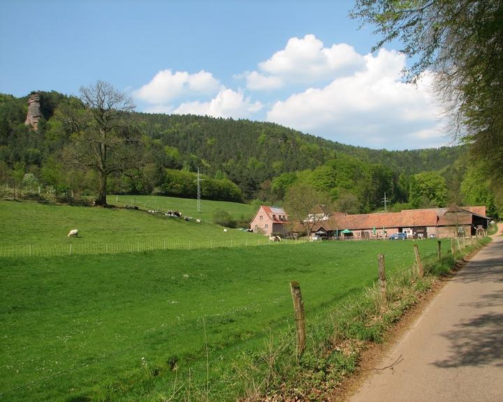 Bio-Gasthof Bärenbrunnerhof