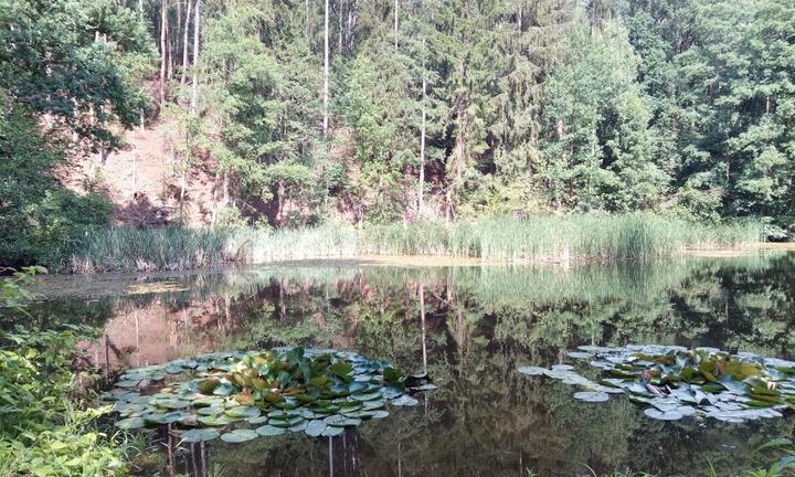 Land-gut-Hotel Waldgasthof Zur Margarethenmuhle