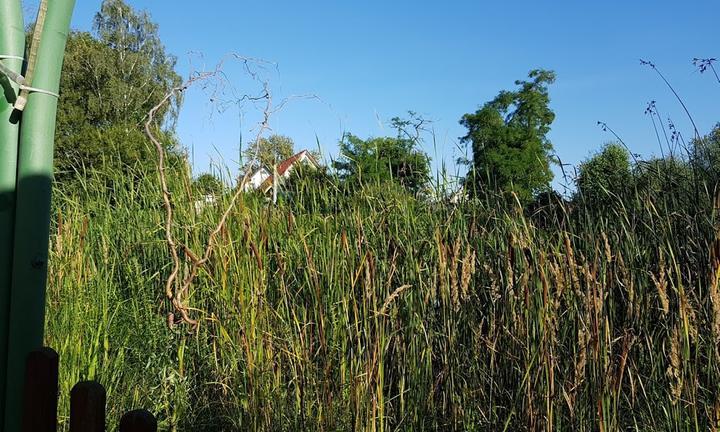 Hechtsee Terrassen