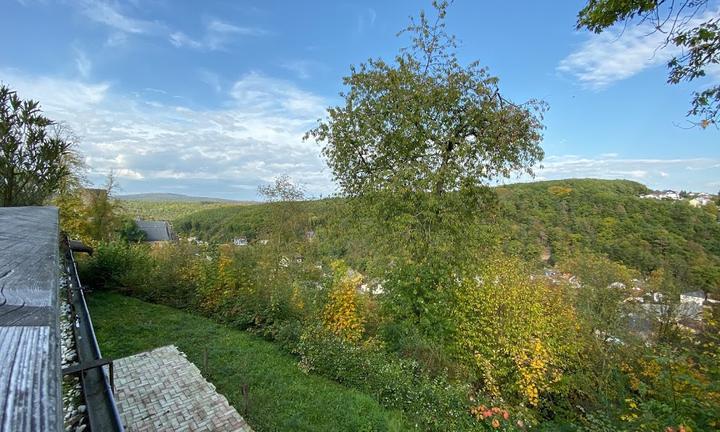 Waldgasthof Schlossblick